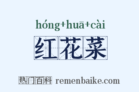 红花菜是什么意思的图片
